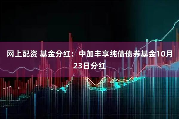 网上配资 基金分红：中加丰享纯债债券基金10月23日分红