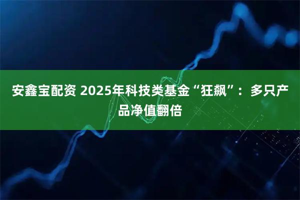 安鑫宝配资 2025年科技类基金“狂飙”:多只产品净值翻倍