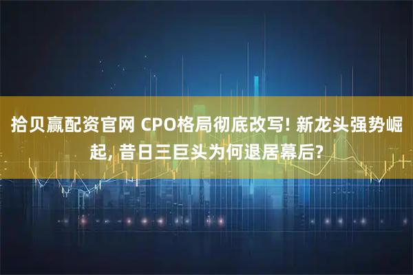 拾贝赢配资官网 CPO格局彻底改写! 新龙头强势崛起, 昔日三巨头为何退居幕后?
